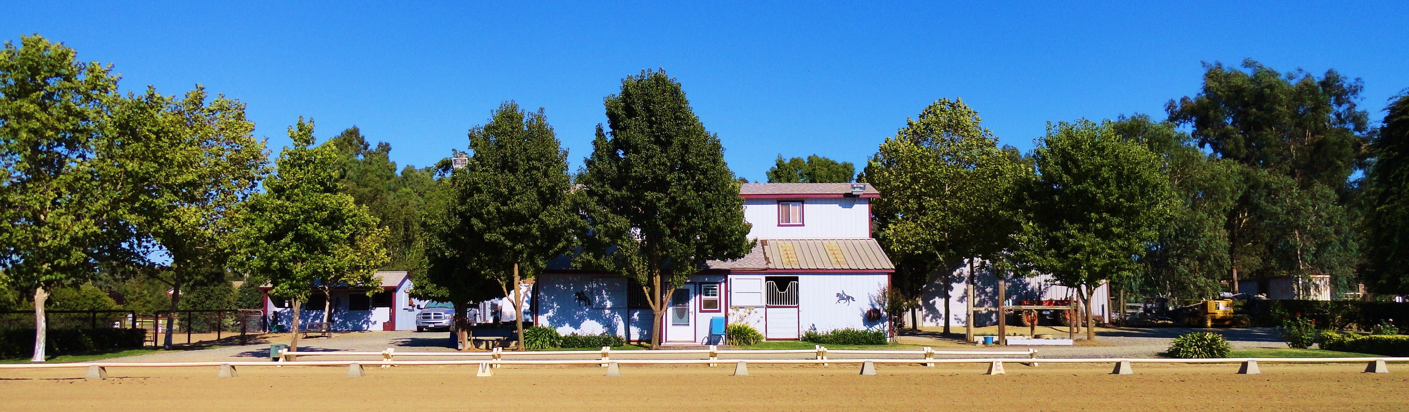 First Chance Farm Heidi Chote Classical Dressage Training Wilton